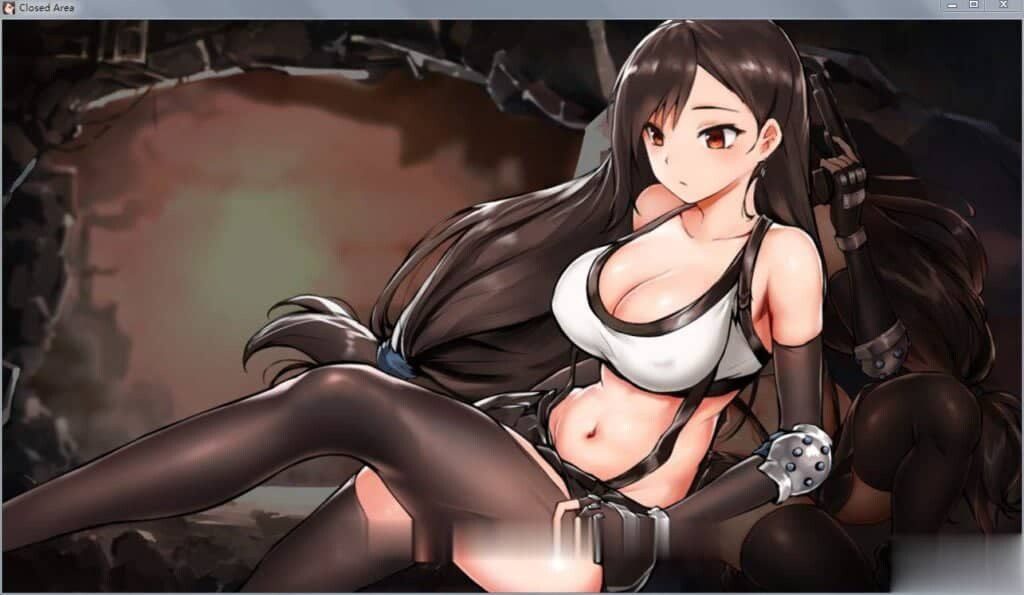 图片[2]-[解密ACT/全动态] 封闭的区域-Z!V1.01 最终版★黑丝蒂法 [1G]-小陌资源库