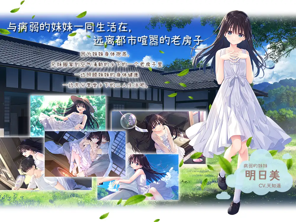 图片[4]-[ADV/DLC]痴情哥哥与病弱妹妹的乡间生活 Ver1.0官方中文正式版+全CG存档+DLC[2.85G]-小陌资源库