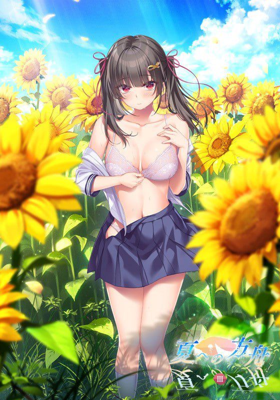 3269【ADV/AI汉化】夏之方舟3 夏への方舟3+特典-ACG俱乐部 - 各类游戏免费下载