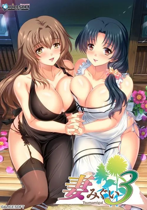 3849[ADV/汉化神级大作/人妻] [Alicesoft] 妻中蜜３ 妻みぐい３ v0.801 润色汉化版+攻略+全CG存档 [2.30G]-ACG俱乐部 - 各类游戏免费下载