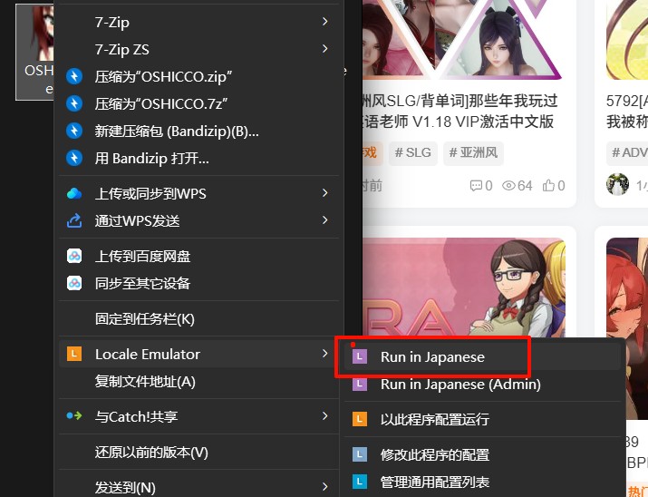 图片[5]-转区工具及使用教程-ACG俱乐部 - 各类游戏免费下载