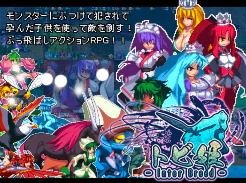 4667【精品ACT/像素动态/官中】飞行姬 トビ姫 H版愤怒的小鸟 安卓-ACG俱乐部 - 各类游戏免费下载