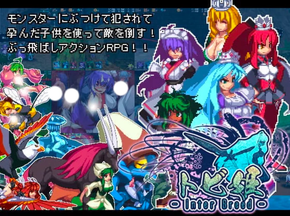 图片[1]-4667【精品ACT/像素动态/官中】飞行姬 トビ姫 H版愤怒的小鸟 安卓-ACG俱乐部 - 各类游戏免费下载