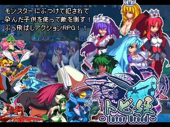 9806【精品ACT/像素动态】飞行姬 飞跃公主トビ姫 - Inter Breed - H版愤怒的小鸟 官中 [PC+安卓]4667-ACG俱乐部 - 各类游戏免费下载