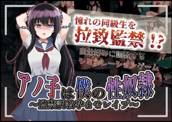 [调教RPG/监禁/PC+安卓]アノ子は僕の性奴隷 〜監禁調教孕ませレイプ〜 V1.01 XY汉化版-空岛ACG